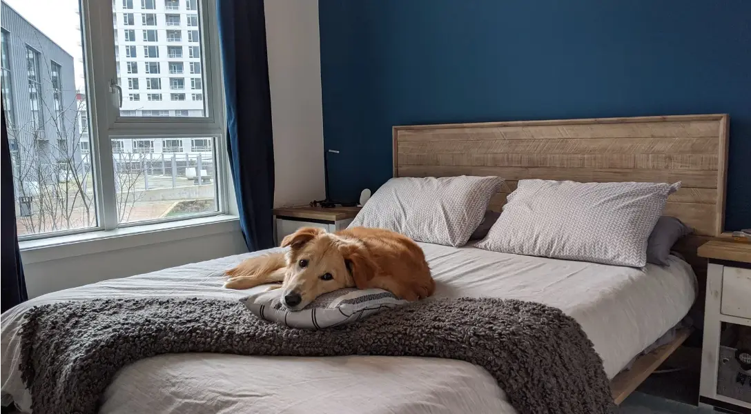 Furniture Store Victoria BC Family Owned & Operator